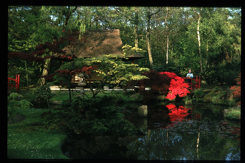 22.JapanseTuin jun 1974 Peter.JPG